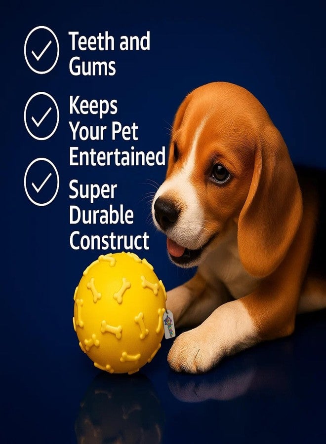 Western Era Squeaky Ball Dog Toy | Bone Print Rubber Ball for Puppies & Dogs | Durable Chew-Safe Toy with Built-in Squeaker | Lightweight Textured Surface for Fetch, Play, and Dental Cleaning - Image 5